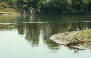 Действующая ссылка крамп