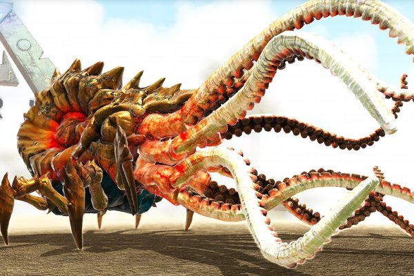 Kraken official