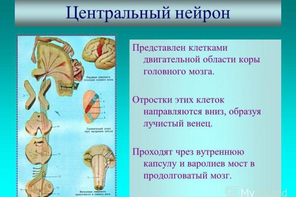 Ссылка кракен сегодня