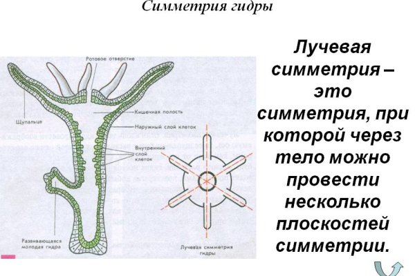 Кракен ссылка тор браузер